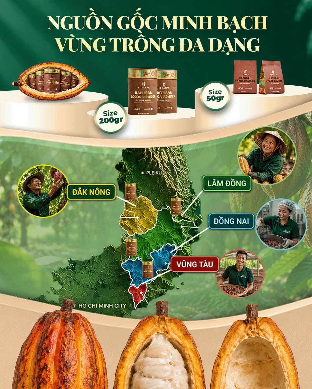 Nguồn gốc minh bạch, vùng trồng đa dạng: Đắk Nông, Lâm Đồng, Đồng Nai, Vũng Tàu