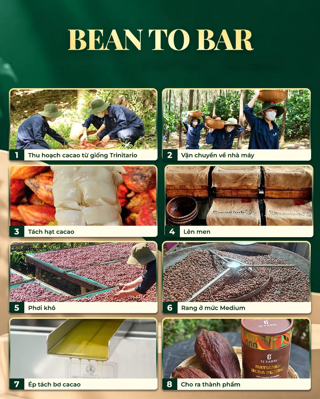 Quy trình Bean to Bar được kiểm soát chặt chẽ và kiên định: thu hoạch cacao giống Trinitario, vận chuyển về nhà máy, tách hạt, lên men, phơi khô, rang mức Medium, ép tách bơ cacao, cho ra thành phẩm